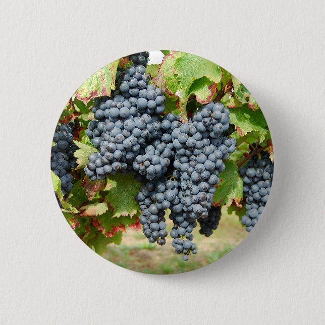 French Wine Grapes 2 Inch Round Button (Front)