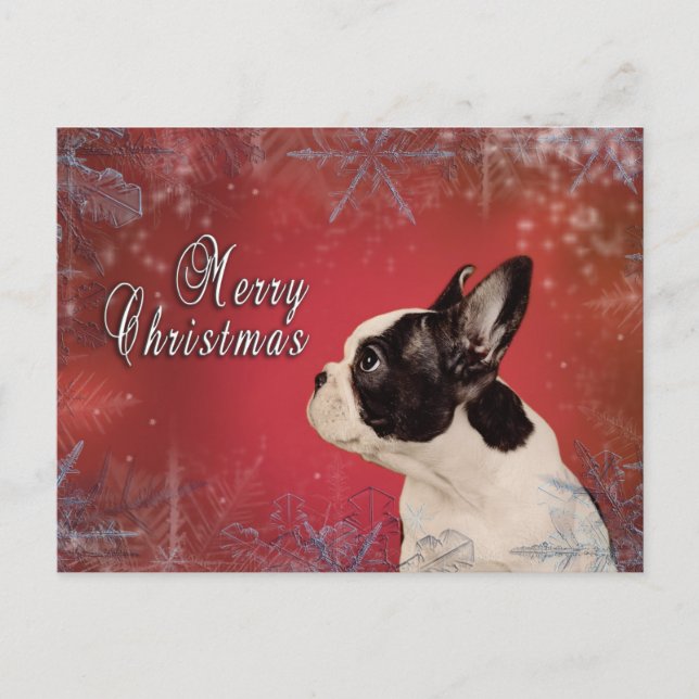 Frenchie Christmas card (Front)