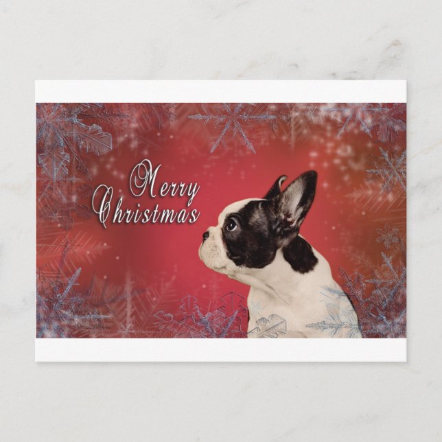Frenchie Christmas card (Front)