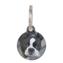 Frenchie French Bulldog Dog Cat Tag