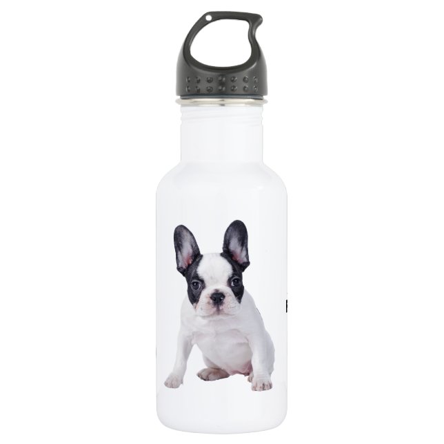 Frenchie - French bulldog puppy 532 Ml Water Bottle (Front)