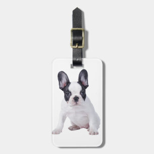 Frenchie - French bulldog puppy Luggage Tag