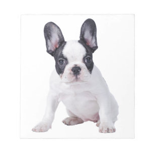 Frenchie - French bulldog puppy Notepad