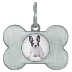 Frenchie - French bulldog puppy Pet Name Tag