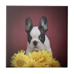 Frenchie - French bulldog puppy Tile