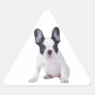 Frenchie - French bulldog puppy Triangle Sticker