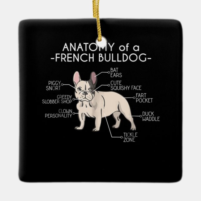 Frenchie Gift | Anatomy Of A French Bulldog Ceramic Ornament (Front)
