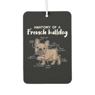 Frenchie Gift Anatomy Of A French Bulldog Gift Air Freshener