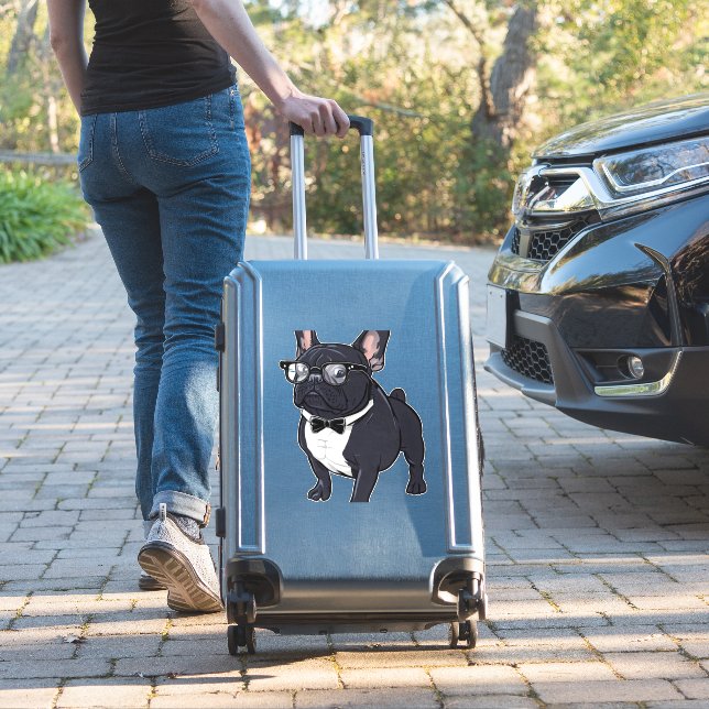 Frenchie in Tuxedo Wearing Glasses (Suitcase Insitu)