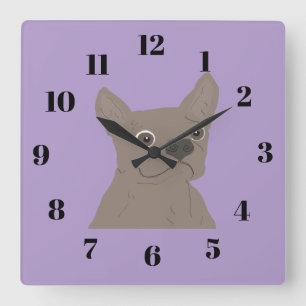 Frenchie, purple square wall clock