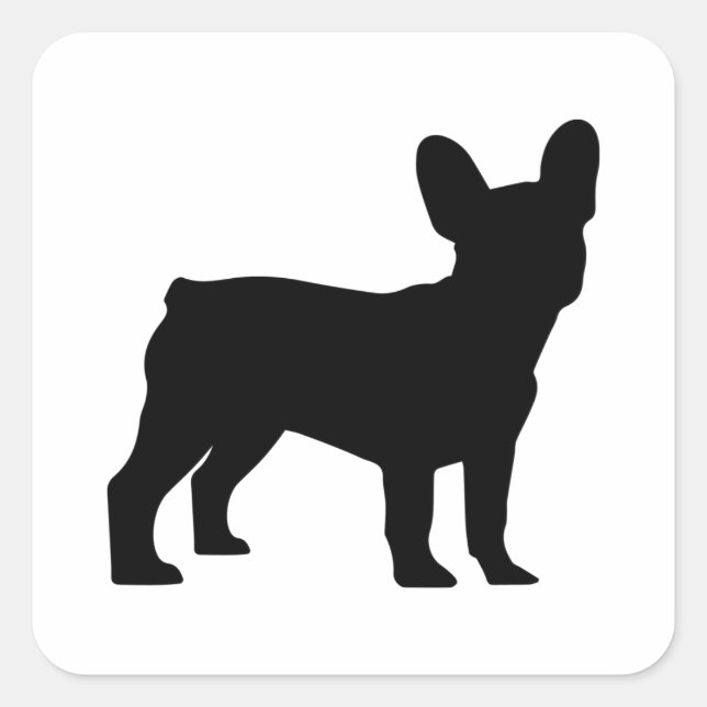 Frenchie   square sticker (Front)