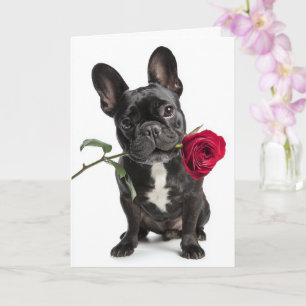 Frenchie Valentine Card