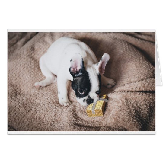 Frenchie With a Gift Card