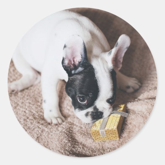 Frenchie With a Gift Classic Round Sticker