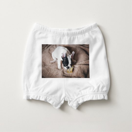 Frenchie With a Gift Diaper Cover