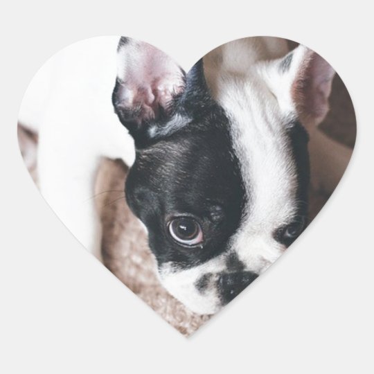 Frenchie With a Gift Heart Sticker