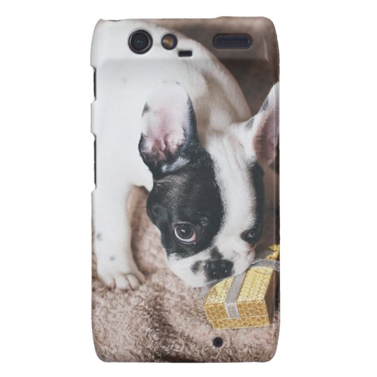 Frenchie With a Gift Motorola Droid RAZR Cases