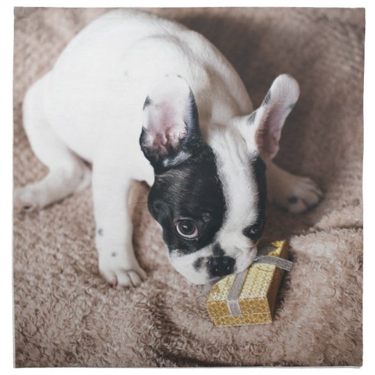 Frenchie With a Gift Napkin
