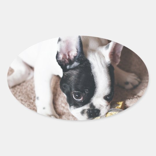 Frenchie With a Gift Oval Sticker