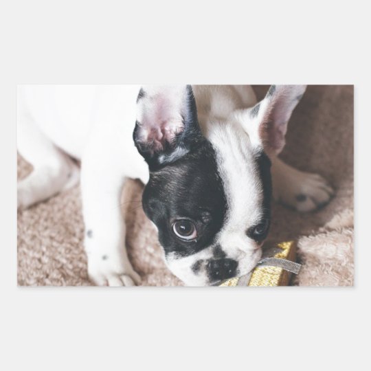 Frenchie With a Gift Sticker