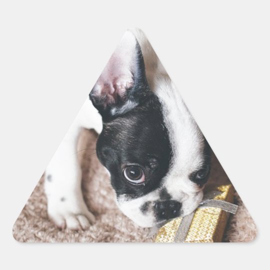 Frenchie With a Gift Triangle Sticker