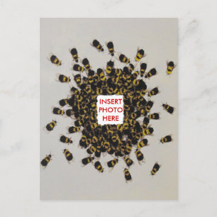 Fréquente Bee PHOTO INSERT Carte postale