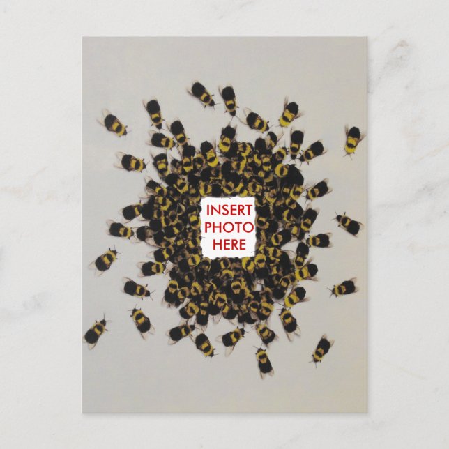 Fréquente Bee PHOTO INSERT Carte postale (Devant)