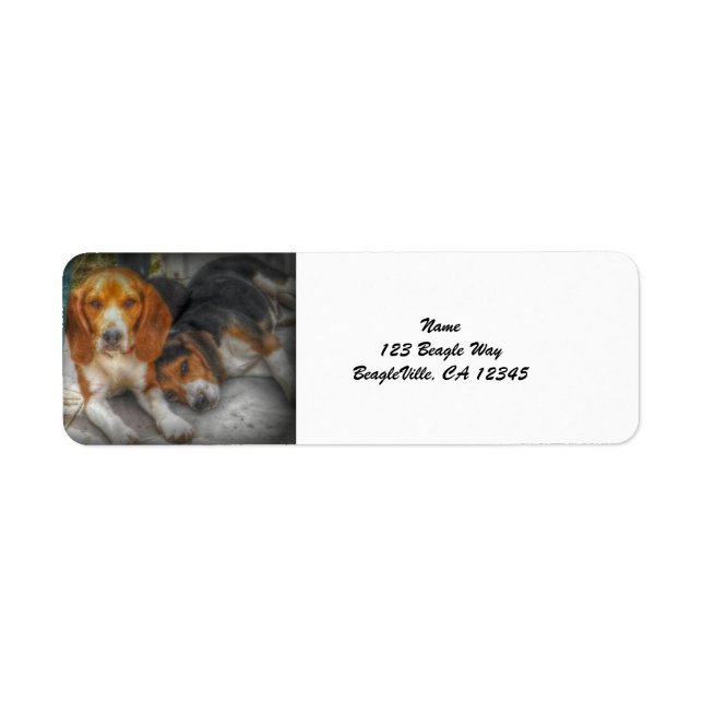 Frères beagles (Devant)