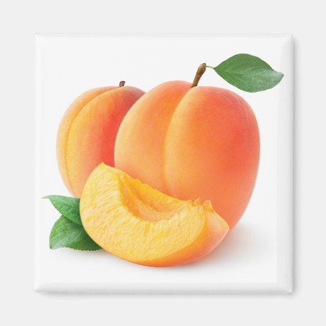 Fresh apricots magnet (Front)
