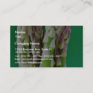 Fresh Asparagus On Green Background Business Card