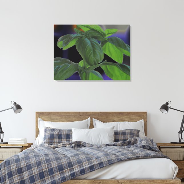 Fresh Basil Closeup Canvas Print (Insitu(Bedroom))