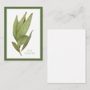 FRESH BAY LEAVES 3.5x2.5 Flat Card / Green
