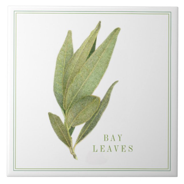 FRESH BAY LEAVES 6"x6" Ceramic Tile (+text) (Front)