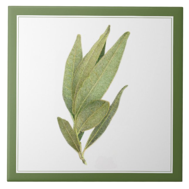FRESH BAY LEAVES 6"x6" Ceramic Tile (-text) Green (Front)