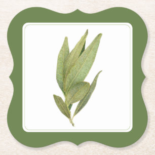 FRESH BAY LEAVES Bracket Coasters (-text) Green