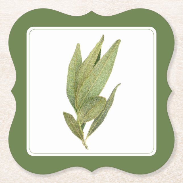FRESH BAY LEAVES Bracket Coasters (-text) Green (Front)