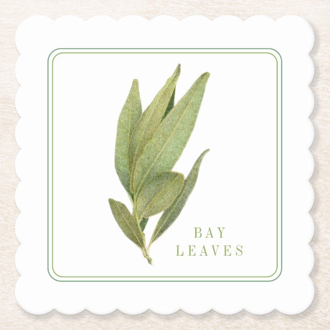 FRESH BAY LEAVES Scalloped Square Coasters (+text) (Front)