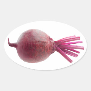 Fresh beetroot oval sticker