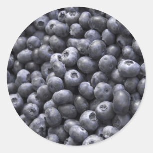 Fresh blueberries classic round sticker