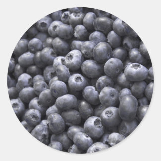 Fresh blueberries classic round sticker