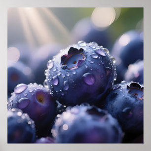 Fresh Blueberries Close Up Poster