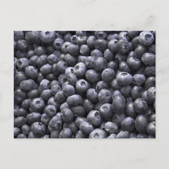 Fresh blueberries postcard (Front)