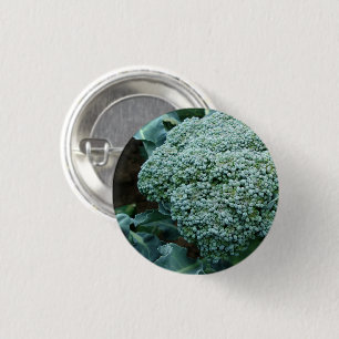 Fresh Broccoli Flower on Stalk 1 Inch Round Button