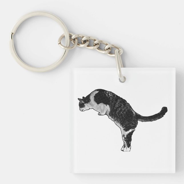 Fresh Cat Accent Keychain (Front)