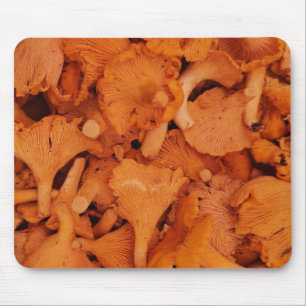 Fresh Chanterelle Mushrooms Photography Mouse Pad