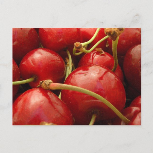 Fresh cherries postcard (Front)