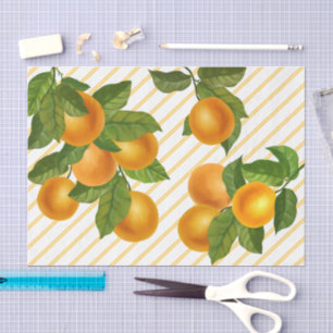 Fresh citrus oranges watercolor pinstripe pattern tissue paper