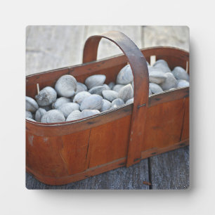 Fresh Clams in Vintage English Wooden Basket Plaque