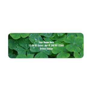 Fresh Clover Green Leafs