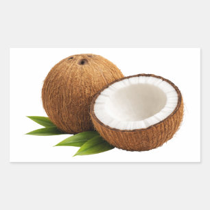 Fresh Coconut With Half Cut Slice Sticker